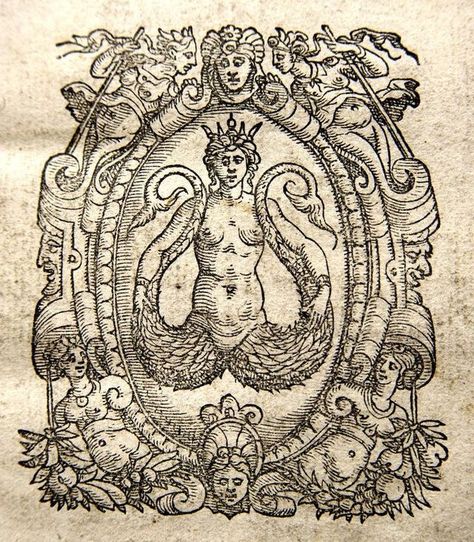 Medieval Tattoo, Legends And Myths, Mermaids And Mermen, Underwater Creatures, Occult Art, Medieval Manuscript, Ancient Mysteries, Fish Tail, Mystical Art