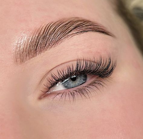 Winged Eyelash Extensions, Wispy Cat Eye Lashes, Classic Cat Eye, Classic Eyelash Extensions Cat Eye, Winged Eyelashes, Cat Eye Tutorial, Makeup For Small Eyes, Eyelash Extensions Classic, Kitten Eyes