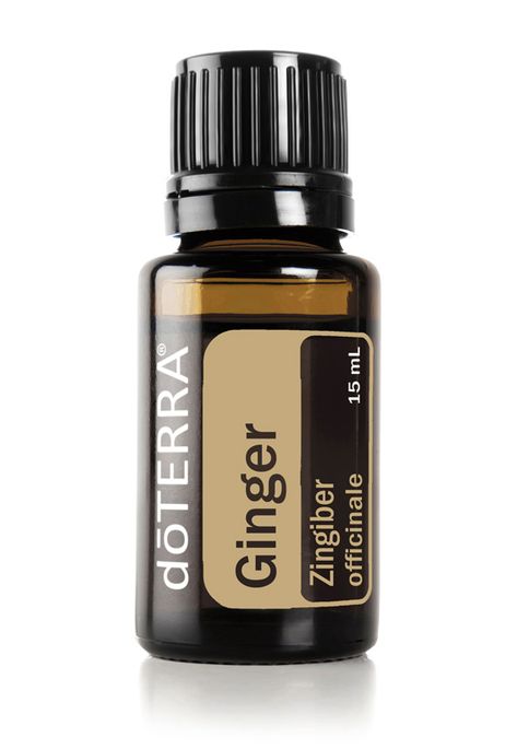 Ginger Oil | dōTERRA Essential Oils Doterra Cedarwood, Cassia Essential Oil, Do Terra, Vetiver Oil, Ginger Plant, Vetiver Essential Oil, Ginger Essential Oil, Ginger Oil, Cedarwood Oil