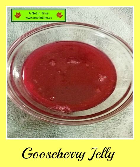 Gooseberry Jelly Recipe, Gooseberry Jelly, Gooseberry Recipes, Gooseberry Jam, Food Preserving, Preserving Foods, Foraging Recipes, Apple Jelly, Uk Recipes