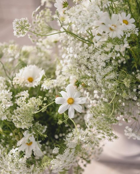 Thoughtful details that make all the difference🥂🤍 . . . Venue | @vipvenues Wedding Planning and Event Design | @taryncollins.co Hair and Makeup | @designvisage Photography | @yana_johnandjoseph Catering | @jasonscateredevents Florals | @tustinflorist Band | @downbeat.agency Signage | @badercollective Transportation | @best_vip_chauffeured Other rentals | @sigpartyrentals @illuminateeventservices Cake | @pacificpatisserieofficial DJ | @alltheraveentertainment Content Creator | @soc... Wedding Flowers With Daisies, White Daisy Centerpieces, Daisy Wedding Theme, Wedding Daisy, Daisy Centerpieces, Daisy Wedding Flowers, Round Table Decor, Floral Arch Wedding, Daisy Wedding