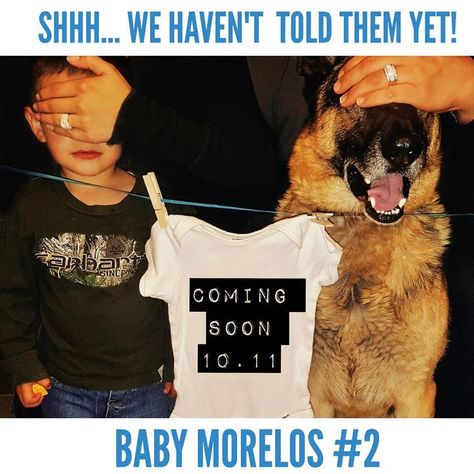 Big Brother Announcement With Dog, Pregnancy Announcement Dog, 2nd Pregnancy Announcements, Baby 2 Announcement, Announcement Photoshoot, Big Brother Announcement, Dog Pregnancy Announcement, Baby Announcement Photoshoot, Toddler Pictures