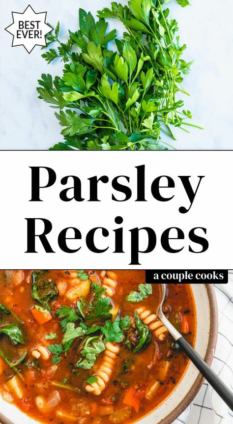 Recipes With Parsley Dinners, Things To Make With Fresh Parsley, What To Make With Fresh Parsley, How To Use Fresh Parsley, Ways To Use Fresh Parsley, Meals With Parsley, Recipes That Use Parsley, Uses For Parsley, How To Use Parsley