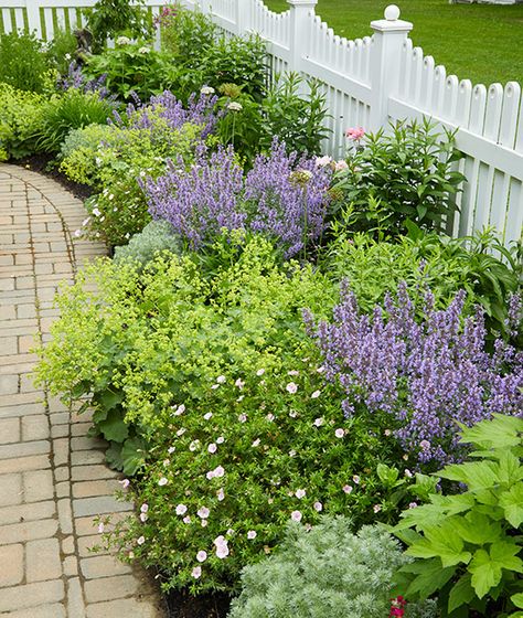 Cottage Garden Side Of House, Front Yard Picket Fence Landscaping, Cozy Cottage Exterior Garden, Picket Fence Planting, English Country Front Garden, Along Fence Garden, Romantic Front Yard Landscaping, Simple Pretty Garden Ideas, Flowers By Front Door Entrance