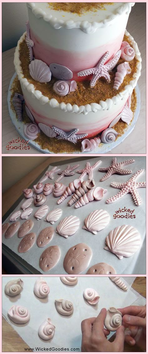 VIDEO: Modeling Chocolate Seashells - edible sand dollars, scallops, snails, and starfish for beach themed cake decorations by Wicked Goodies Chocolate Seashells, Edible Sand, Seashell Cake, Beach Themed Cakes, Sea Cakes, Beach Cakes, Sand Dollars, Modeling Chocolate, Mermaid Cakes