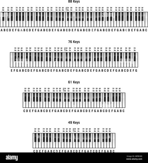 Download this stock vector: Piano keyboards in standard 88 key, 76 key, 61 key and 49 key layouts, with labels, isolated vector illustration - 2BPBC8D from Alamy's library of millions of high resolution stock photos, illustrations and vectors. 36 Key Keyboard Notes, Piano Labels Keys, 61 Key Keyboard Notes, Printable Piano Keyboard, Key Signature Chart, Piano Numbers On Keys, Keyboard Piano Notes Songs, Piano Keys Labeled, Yamaha Piano Keyboard