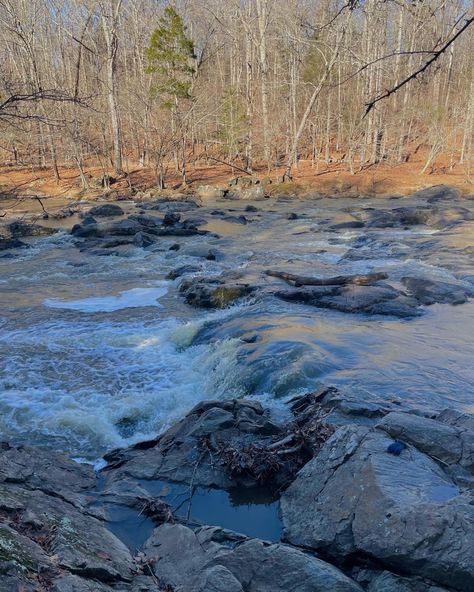 hiking aesthetic, eno river, things to do in durham nc, north carolina aesthetic North Carolina Durham, Durham North Carolina Aesthetic, North Carolina Aesthetic, North Carolina Nature, Carolina Aesthetic, Durham County, Aesthetic Places, Durham North Carolina, Carolina Girl