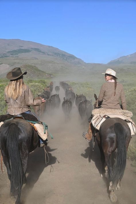 Cattle drive on horseback Horse Riding Holiday, Riding Holiday, International Flight, Cattle Drive, Riders On The Storm, Go Ride, Plane Ticket, Horse Aesthetic, Cattle Ranching