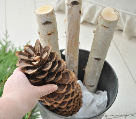 The 5 Minute Christmas Birch Bucket How To Decorate With Birch Logs, Birch Branches In Pots Outdoor Planters, Birch Tree Decor Christmas Indoor, Birch Log Centerpiece Christmas, Sap Bucket Decor Christmas, Galvanized Bucket Christmas Decor, Birch Logs Christmas Decor, Birch Christmas Decor, Birch Tree Decor Christmas