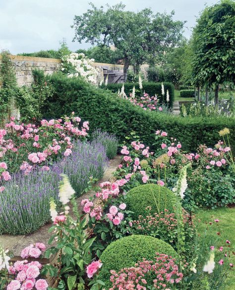 Roses And Lavender, Boxwood Landscaping, English Landscape Garden, Rose Garden Landscape, Roses Photography, English Garden Design, Rose Garden Design, Garden Growing, Gardens Design