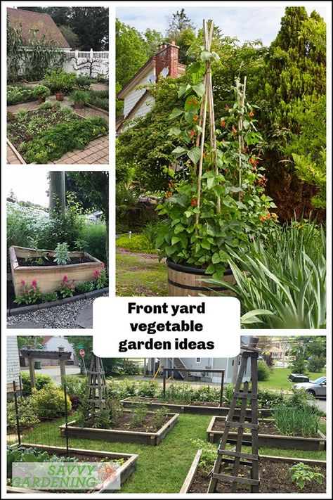 Front Yard Vegetable Garden Ideas: Grow a Mix of Food and Flowers Front Yard Garden Vegetable, Front Yard Vegetable Garden Ideas, Small Yard Vegetable Garden Ideas, Front Yard Garden Landscaping, Front Yard Vegetable Garden, Garden Ideas Vegetable, Yard Vegetable Garden, Food Forest Garden, Vegetable Garden Ideas