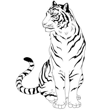 3021 views Tiger Clipart, Big Cat Tattoo, Chinese Illustration, Tiger Drawing, Pencil Drawings Of Animals, Tiger Art, Tableau Art, Tiger Tattoo, White Tiger