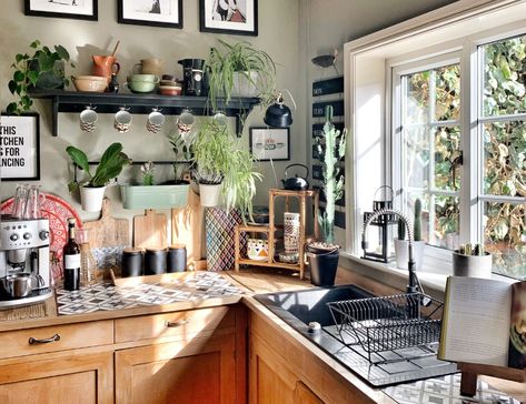 Kitchen Decor Renter Friendly, Renter Friendly Kitchen Ideas, Rented House Decor Ideas, Renter Friendly Decorating Kitchen, Renter Friendly Storage Ideas, House Reorganization, 90s Kitchen Aesthetic, Renter Friendly Kitchen Upgrades, Diy Renter Friendly Kitchen