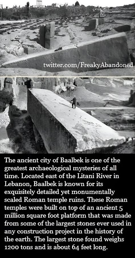 Archeology Facts, Marine Archeology, Underwater Archaeology, Maritime Archaeology, Ancient Alexandria, Marine Archaeology, Archaeology Dig, Ancient Indian Architecture, Ancient History Facts