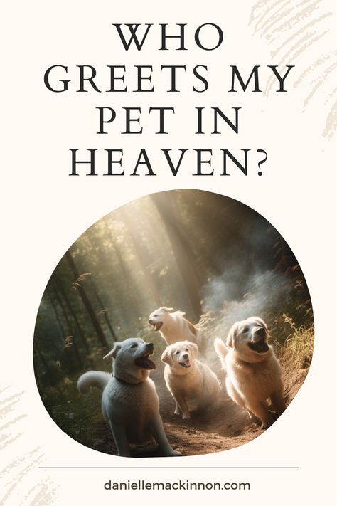 Animals maintain a connection to the the Other Side in a way that we as humans do not. Animals have this incredible connection to the big picture which is why they don’t worry about your “Who greets my pet in Heaven” question. Find out more with a professional animal communicator Danielle MacKinnon Do Dogs Go To Heaven, Pet Celebration Of Life, Animals In Heaven, Animal Music, Pet Psychic, Animal Communication, Healthy Dog Treats Homemade, Dog Heaven, Heart Break