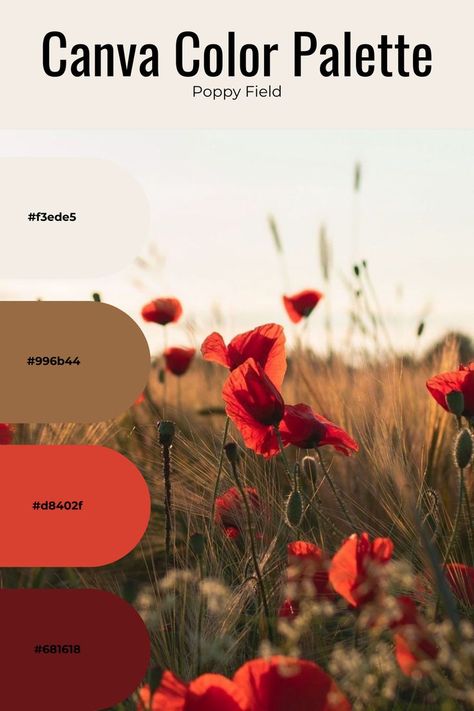 Canva Color Palette - Poppy Fields: Explore stunning red color schemes to elevate your designs. Create captivating visuals with Canva's versatile red color palettes. Canva Colour Palettes, Poppy Color Palette, Red Color Palettes, Canva Color Palette, Poppy Fields, Poppy Color, Red Color Schemes, Red Colour Palette, Branding Resources