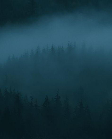 Design You Trust – The Source Of Inspiration Layered Mountains, Foggy City, Mysterious Forest, Dark Naturalism, Bellingham Washington, Dark Landscape, Widget Ideas, Foggy Forest, Dark Paradise