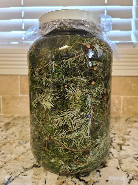 From Evergreen to All-Purpose: Homemade Pine-Sol from Christmas Tree Harmony Nice, White Vinegar Cleaning, Pine Sol, Infused Vinegars, Homemade Nachos, Christmas Jam, Cheesecake In A Jar, Vegetable Steamer, Food Gardening