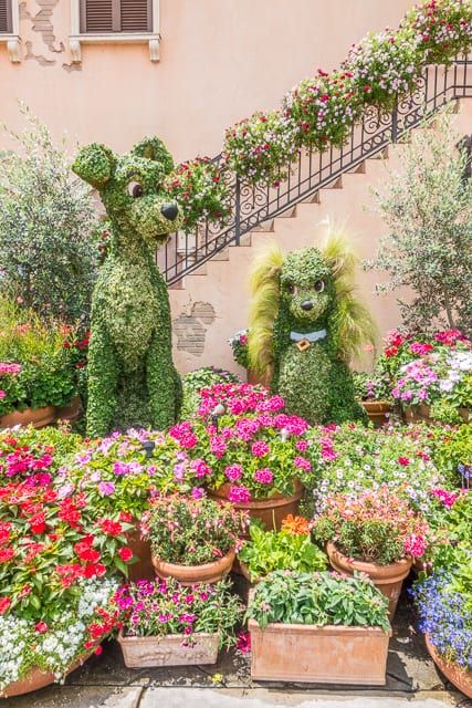 Spring Magic, Disney Garden, Plain Chicken, Flower Window, Disney Epcot, Garden Festival, Park Pictures, Flower Festival, Festival Inspiration