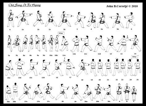 The Chil Sung forms of Traditional Taekwondo (and especially Tang Soo Do) were introduced by... Taekwondo Forms, Big Dipper Constellation, Dipper Constellation, Korean Martial Arts, Karate Kata, The Big Dipper, Tang Soo Do, Shotokan Karate, Ursa Major