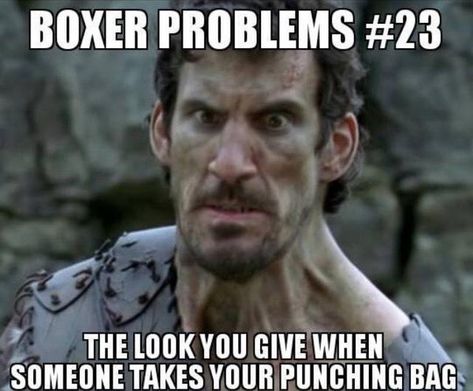 19 Funny Boxing Meme That Give You Extra Laugh  #BoxingMeme Check more at https://memesboy.com/19-funny-boxing-meme-that-give-you-extra-laugh/ Boxing Memes Funny, Boxing Humor, Boxing Coach, Punching Bag, Cartoon Memes, Memes Funny, When Someone, Boxing, Funny Memes