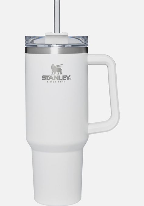 White Stanley, 2024 Era, Stanley Adventure, Stanley Cups, Aesthetic Gift, Stanley Tumbler, Holiday List, Stanley Quencher, Cute Preppy Outfits