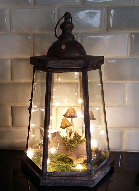 Woodland Fairy Nursery, Mushroom Lantern, Pretty Fairy, Fairy Mushroom, Fairy Room, Fairy Nursery, Nursery Woodland, Outdoor Fairy Lights, Fairy Lanterns