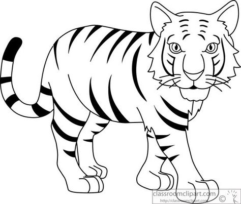 Tiger Drawing For Kids, Tiger Cartoon Drawing, Easy Tiger Drawing, Tiger Outline, Tiger Sketch, Outline Pictures, Animal Outline, Tiger Images, Tiger Drawing