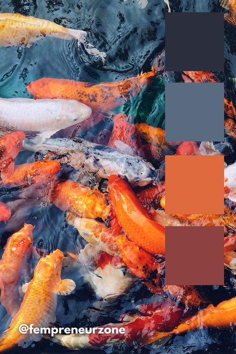 Koi Fish Color Palette, Koi Color Palette, Koi Fish Colors, Messy Clothes, Japanese Cafe, Orange Palette, Palette Design, Color Board, Japanese Koi