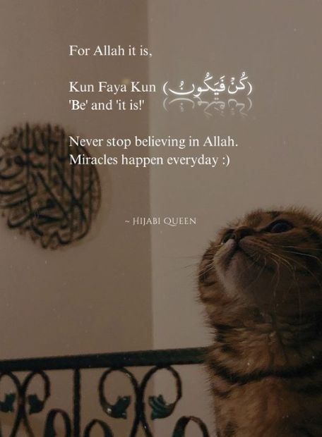 Islamic Dp Quotes, Quotes For Dp, Kun Faya Kun, Coran Quotes, Quranic Quotes, Islam Peace, Alhumdulillah Quotes, Alhamdulillah For Everything, Islam Quotes About Life