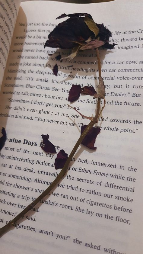 Book Asthetics Photos For Instagram, Rose Asthetics Photos, Daniela Core, Flower Gift Snapchat Story, Night Snaps, Snap Fake, Rose In Hand, Books Notes, Handwriting Books