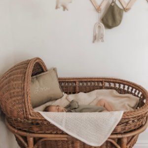 Bassinets For Baby, Modern Toddler Bed, Vintage Bassinet, Bassinet Skirts, Pottery Barn Bassinet, Moses Basket Bassinet, Basket Bassinet, Newborn Bassinet, Wicker Bassinet