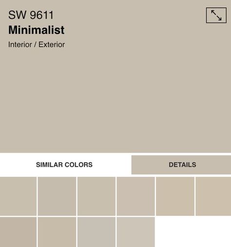 Sw Minimalist Paint, Sherwin Williams Minimalist Paint Color, Sherwin Williams Minimalist, Sherwin Williams Latte, Moody Vintage, Paint Tips, Bathroom Stuff, Interior Colors, Neutral Paint Color