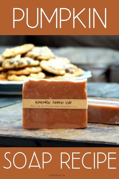 Real Pumpkin Puree, Homemade Cold Process Soap, Puree Pumpkin, Witchy Business, Homemaking Skills, Pumpkin Spice Soap, Pumpkin Soap, Diy Soap Recipe, Fall Soaps