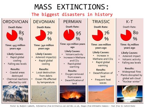 Geology Rocks Mineral, Mass Extinction, History Of Earth, Natural Philosophy, Environmental Scientist, 8th Grade Science, Earth Atmosphere, Geology Rocks, Plate Tectonics