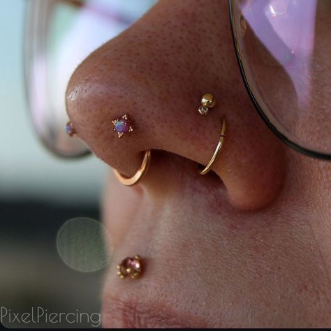 ♡ Nicholle ♡ (@pixelpiercing) • Instagram photos and videos Pearl Bridge Piercing, Nose Piercing Stud And Hoop, Coin Slot Piercing, Mantis Piercing, Septum Stack, Bridge Piercing, Nose Piercing Stud, Body Modifications, Nose Piercing