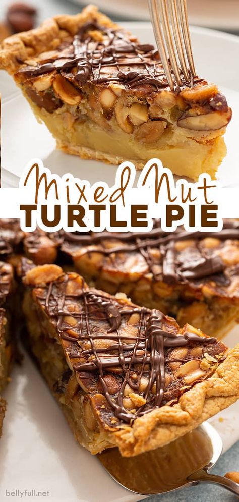 This easy Turtle Pie recipe has a soft custard center, filled with crunchy nuts throughout, and drizzled with melted chocolate. It tastes like a candy bar! Delicious dessert for the holidays or anytime. Mixed Nut Pie Recipes, Nut Pie Recipes, Drunken Turtle Pie Recipe, Chocolate Nut Pie, Nut Desserts, Nut Dessert Recipes, Turtle Pie Recipe, Nut Pie, Turtle Pie