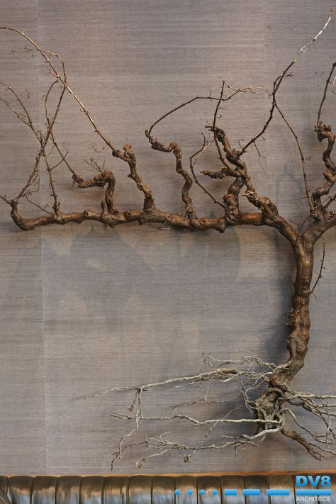 Ellerman Wine gallery. Close up view of bronze vine sculpture by Nic Bladen Vine Sculpture, Grape Vine Art, Grapewood Branch, Wine Gallery, Wine Vine, Vine Flowers, Vine And Branches, Fake Trees, Textile Sculpture