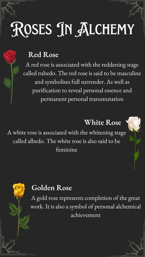 Red Rose Symbolism Meaning, Roses Witchcraft Uses, Rose Symbolism Meaning, Calcination Alchemy, Rose Correspondence, Roses In Witchcraft, Roses Witchcraft, Rose Spiritual Meaning, Roses Symbolism