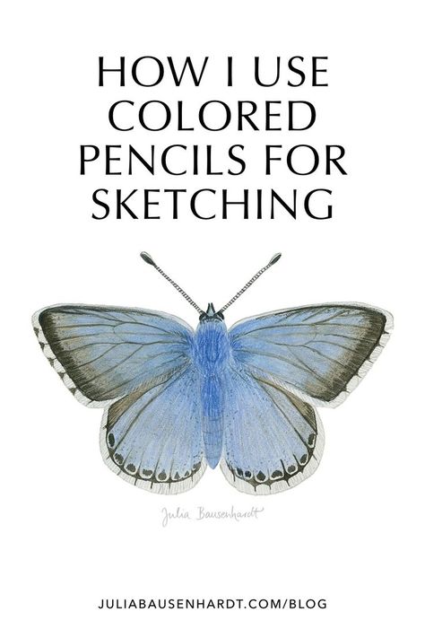 I like to have a few colored pencils around for sketching, but I don’t usually use them alone. Rather, I combine them with watercolor to add texture and detail. I find colored pencils can often bring out certain fine details better and in a more controlled way than fiddling with fine brushes, and sometimes I use them instead of pencils for sketching. Pencils For Sketching, Sketches Landscape, Pencil Sketches Landscape, Colored Pencil Drawing Tutorial, Colored Pencil Artwork Ideas, Colored Pencil Drawing Techniques, Coloured Pencil Art, Drawing Colored Pencil, Butterfly Art Drawing