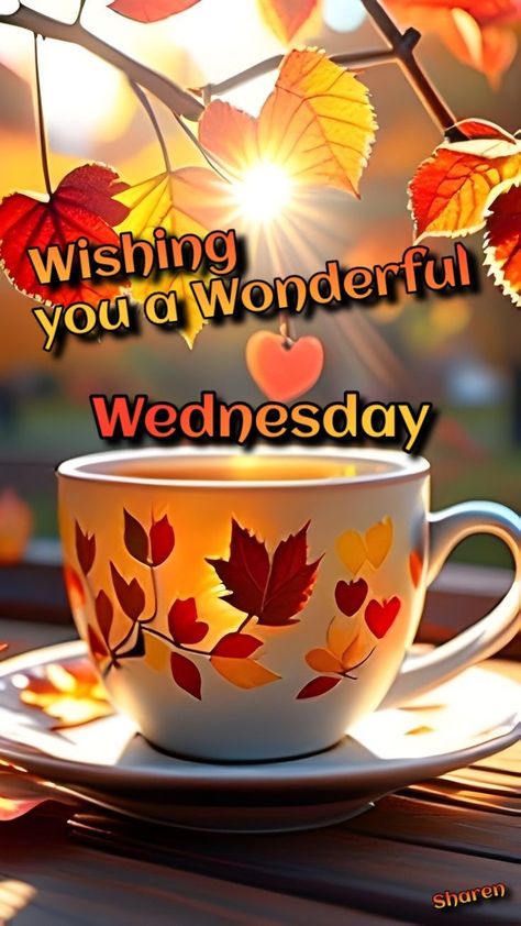 Wednesday Greetings, Morning Sayings, Autumn Blessings, Happy Wednesday Quotes, Daily Greetings, Wednesday Quotes, Wonderful Wednesday, Good Afternoon, Happy Wednesday