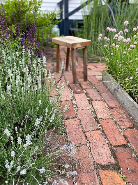 barn wood, brick, brick pathway, brick walkway, budget friendly, cheap, cottage, cottage garden, cottage path, cottage pathway, cottage style, cottage walkway, diy, diy project, english cottage style, fieldstone, flagstone, flower beds, flower gardens, garden, garden path, garden pathways, garden walkways, gravel, gravel pathway, gravel walkway, home improvement, inexpensive, inspiration, lawn, outdoor project, Outdoors, outside, path, pathway, patio, pea gravel, pea gravel patio, reclaimed wood, salvage, second hand, slate, spring, springtime, summer, summertime, vegetable garden, walkway, walkways, wood pathway, wood planks, wood walkway, yard Cottage Walkway, Brick Pathway Garden, Reclaimed Brick Garden, Diy Walkways, Pine And Prospect Home, Pine And Prospect, Gravel Walkway, Pea Gravel Patio, Slate Garden