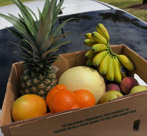 Fruit baskets filled with love, a simple recipe to heal your body with food Basket Of Fruits Aesthetic, Fruit Basket Aesthetic, Fresh Fruit And Vegetables Aesthetic, Fruit On The Beach Aesthetic, Eating Fruits And Vegetables Aesthetic, Basket Aesthetic, Fruit And Veg Market Aesthetic, Fruit Aesthetic, Fruit Basket Gift