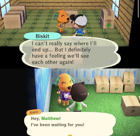 Animal Crossing City Folk, Resident Services, Losing My Best Friend, Ac New Leaf, Animal Crossing Funny, Animal Crossing Fan Art, Animal Crossing Memes, Meme Page, City Folk