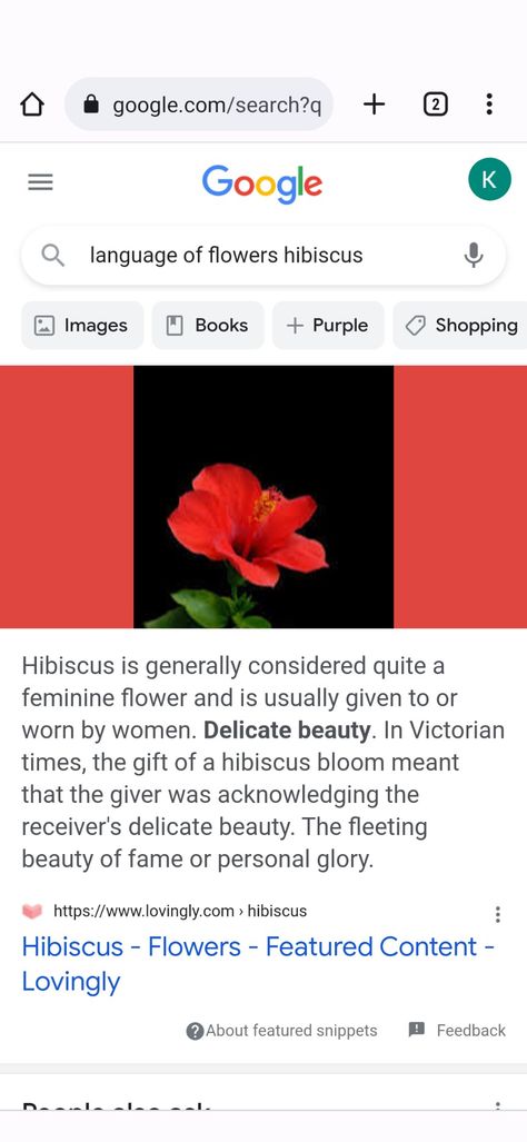 Meaning of hibiscus Meaning Of Hibiscus Flower, Hibiscus Meaning, Hibiscus Flower Meaning, Hibiscus Image, Rose Meaning, Eternal Flowers, Different Kinds Of Love, Flower Language, Long Vase