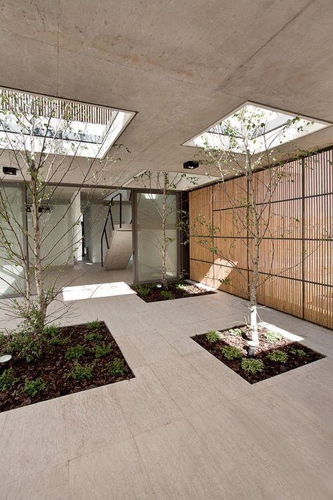 Natural Light and Ventilation: 17 Remarkable Courtyards | ArchDaily Landscape Terrace, Villa Lighting, Modern Concrete House, Spiritual Center, Home Gallery Wall, Arizona Backyard, Living Room Gallery Wall, Loft Inspiration, Roofing Shingles