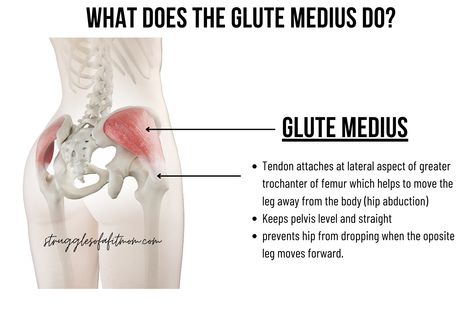 21 Best Glute Medius Exercises for a Strong, More Balanced Body Glute Minimus Workout, Glute Medius Exercises, Glute Minimus, Tone Glutes, Medius Workout, Toned Glutes, Greater Trochanter, Glute Medius, Gluteus Medius