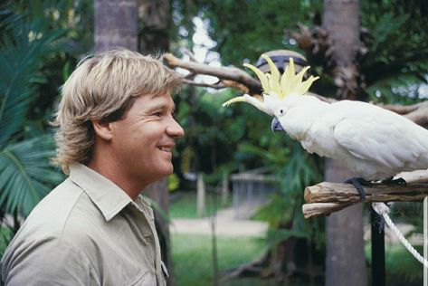 Irwin Family, Crocodile Hunter, Bindi Irwin, Steve Irwin, Zoology, Animal Planet, Animal Kingdom, Pet Birds, Famous People