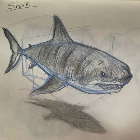 Shark Sketch, Shark Art, A Level Art, Sketchbook Art Inspiration, Tattoo Inspo, Doodle Drawings, Colored Pencil, Sharks, Art Sketchbook