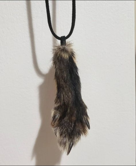 Cryptid Taxidermy, Taxidermy Fox, Terrible Taxidermy, Taxidermy Necklace, Tarantula Taxidermy, Monster Taxidermy, Vulture Culture, Taxidermy